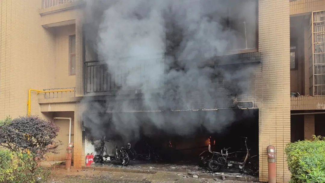 花爆竹危害之人身安全篇龙八国际娱乐网站燃放烟(图1)